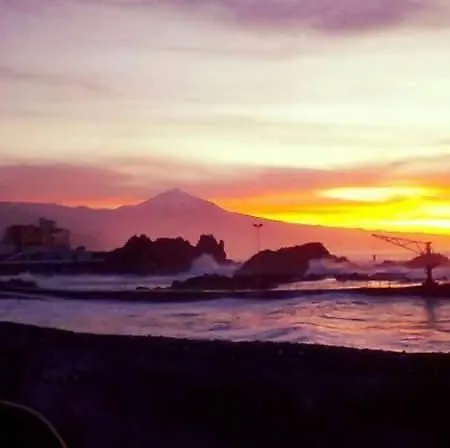 Salitre Daire Tacoronte